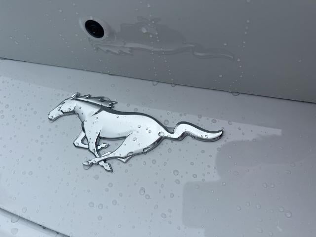 2026 Ford Mustang EcoBoost Fastback