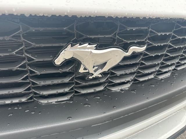 2026 Ford Mustang EcoBoost Fastback