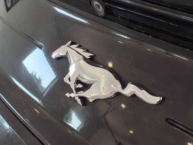 2022 Ford Mustang EcoBoost Fastback