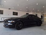 2022 Ford Mustang EcoBoost Fastback