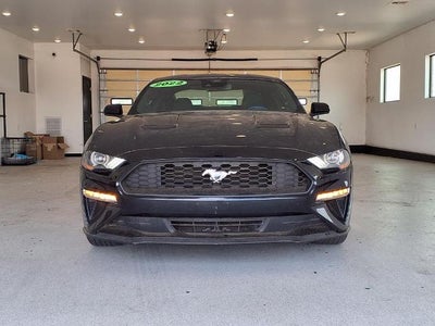 2022 Ford Mustang EcoBoost Fastback