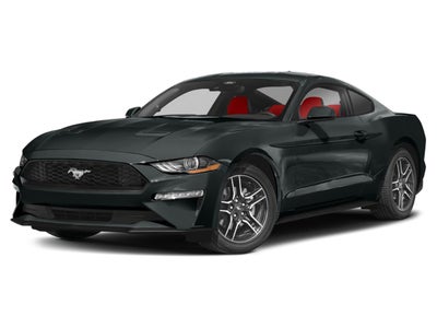 2022 Ford Mustang EcoBoost Fastback