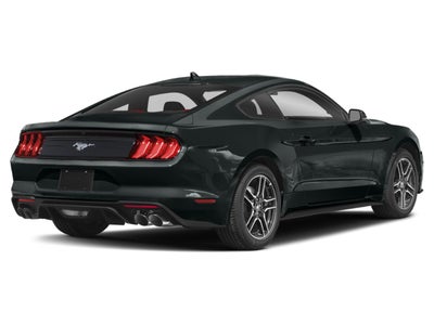 2022 Ford Mustang EcoBoost Fastback