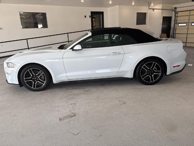 2023 Ford Mustang EcoBoost Premium Convertible