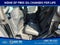 2026 Ford Bronco Raptor 4 Door Advanced 4x4