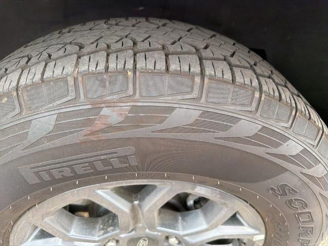 2025 Ford Expedition Active 4x2