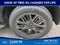 2026 Ford Expedition Platinum 4x4
