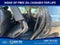 2027 Ford Expedition Platinum 4x4