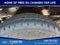 2026 Ford Super Duty F-250 SRW XLT 4WD Crew Cab 6.75' Box