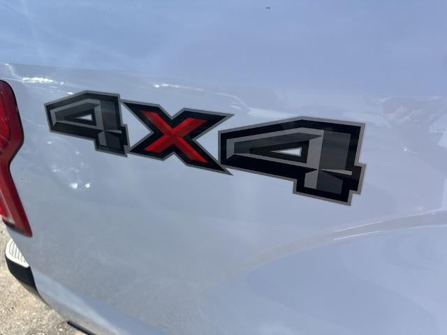 2019 Ford F-150 XL 4WD SuperCrew 5.5' Box