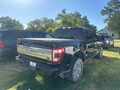 2023 Ford F-150 Platinum 4WD SuperCrew 5.5' Box