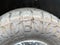 2023 Ford F-150 Raptor 4WD SuperCrew 5.5' Box