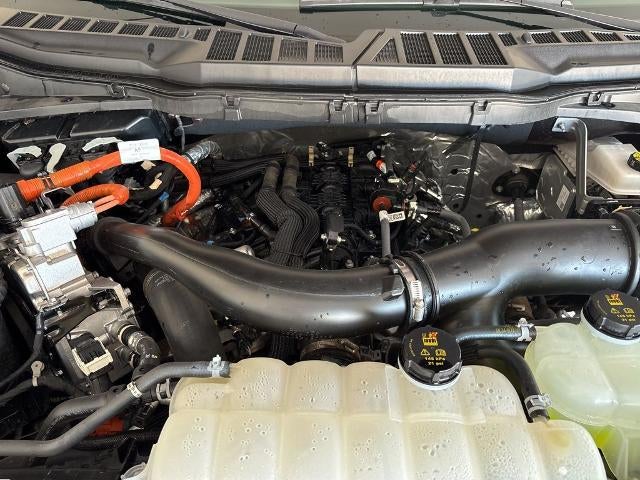 2025 Ford F-150 XLT 4WD SuperCrew 5.5' Box