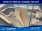 2026 Ford F-150 Tremor 4WD SuperCrew 5.5' Box