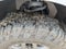 2025 Ford F-150 Tremor 4WD SuperCrew 5.5' Box