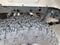 2025 Ford F-150 Tremor 4WD SuperCrew 5.5' Box