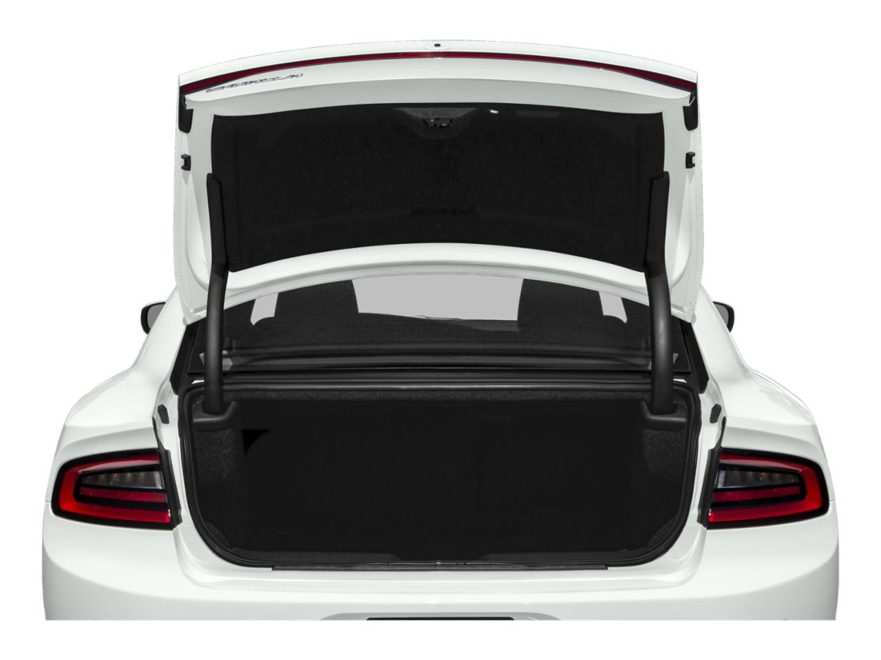 2019 Dodge Charger Police RWD