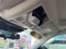 2023 Ford Bronco Sport Big Bend 4x4