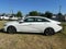 2025 Hyundai ELANTRA Limited IVT